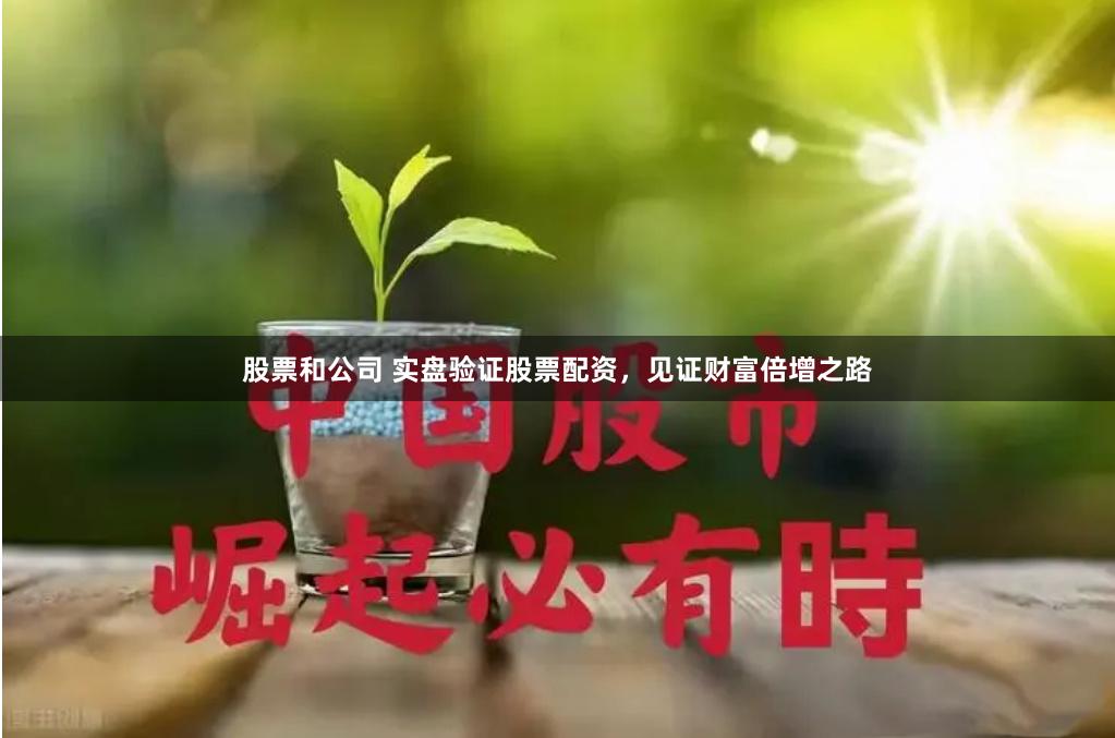 股票和公司 实盘验证股票配资，见证财富倍增之路