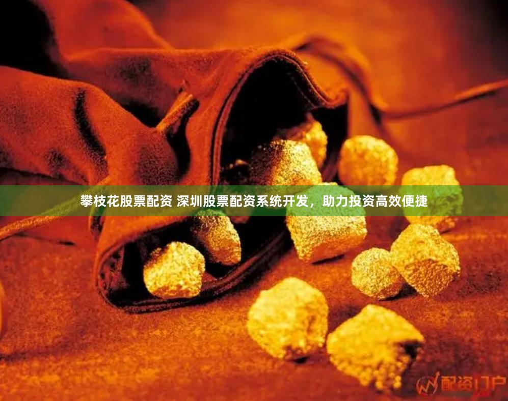 攀枝花股票配资 深圳股票配资系统开发，助力投资高效便捷