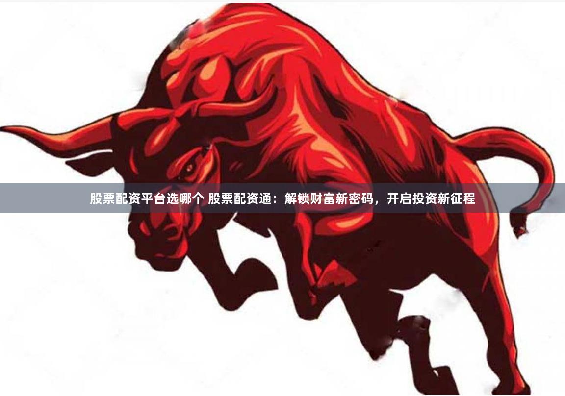 股票配资平台选哪个 股票配资通：解锁财富新密码，开启投资新征